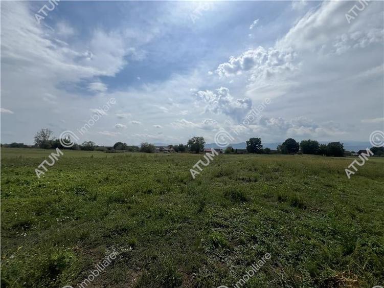 Teren intravilan de 8600 mp cu deschidere la doua drumuri in Cristian - 5