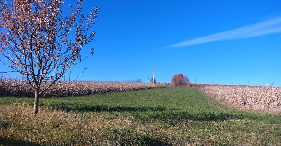 Teren, loc de casa 1800 mp - 7