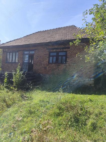 Casa din caramida cu gradina (40 ari) la tara in sat Valisoara,comuna Letca,judetul Salaj - 6