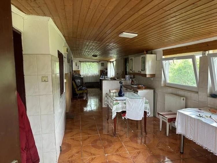 Casa Amarasti Nemoiu - 2
