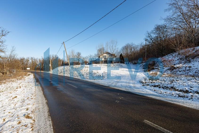 Proprietate cu casa si spatiu comercial+teren 4060 mp Bahna - 10