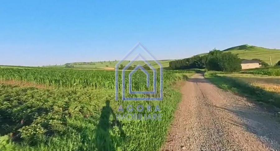 Teren intravilan Moara Carp - zona Ponoare - 1