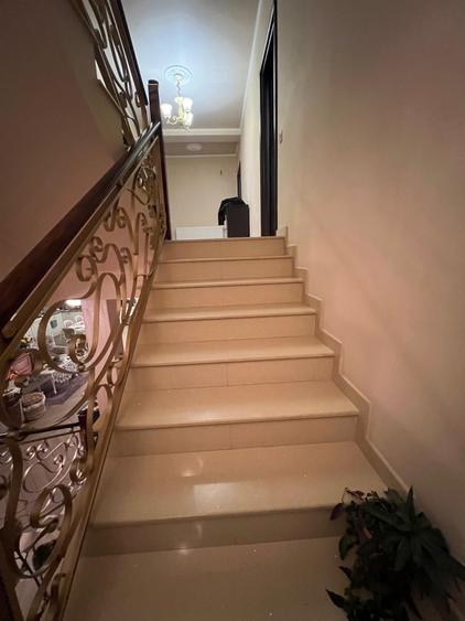 Vanzare Casa/Villa 6 camere 3 bai 3 wc -uri Dobroiesti 0% Comision - 21