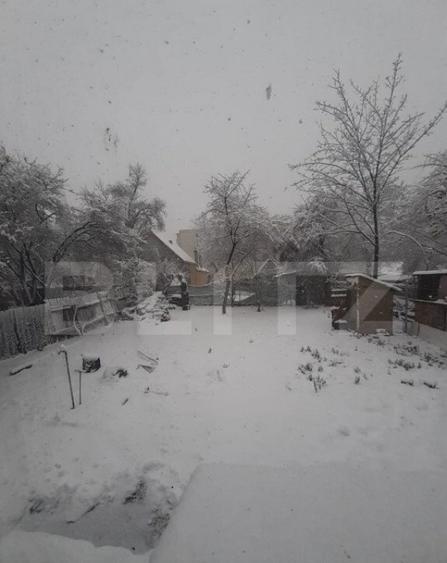 Casa 3 camere, 100 mp, zona Astra-Brasov - 3