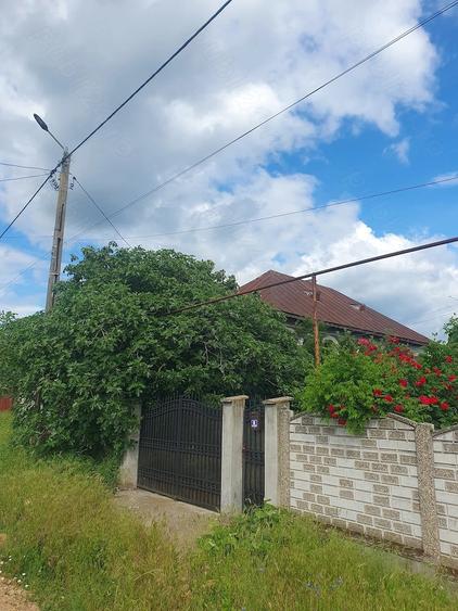 Vand casa Pristol, Mehedinti - 4