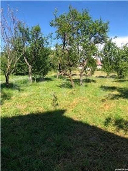 Casa de vanzare, cu 3 camere, 100 m2, teren 5 arii, zona Ciceu-Corabia - 5