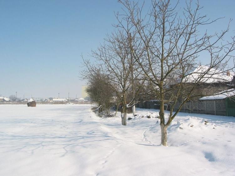 Ilia PUZ construirii de locuinte aprobat - 7