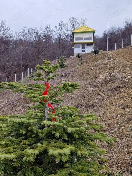 Casa de vacanta schimb - 3