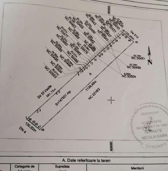 Teren intravilan- ALLEGRIA/ DN4 Glina 187500 mp - 13