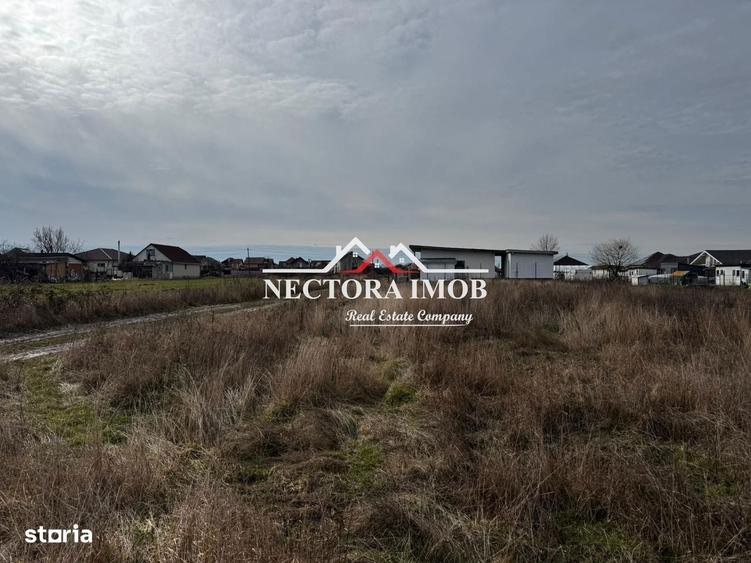 NECTORA IMOB-Teren Intravilan Zona Cihei,512 mp, Utilitati,Str.Privata - 5