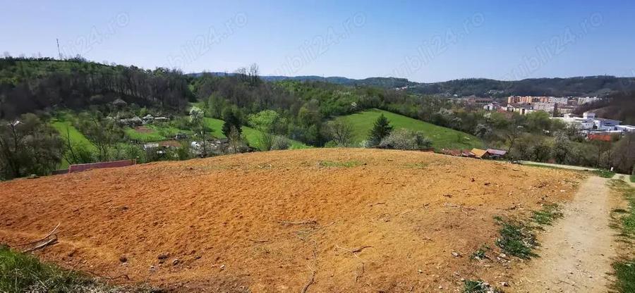 Parcele intravilan cu extravilan Calea Caransebesului km 2 loturi de 1000 mp negociabil - 8