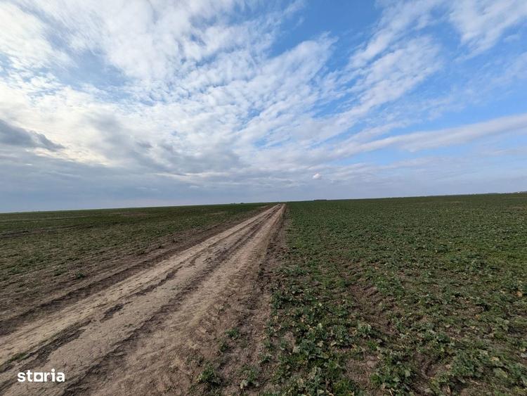 Loturi intravilane 300 mp, la 10 km de Centura Sud Bucure?ti - 3