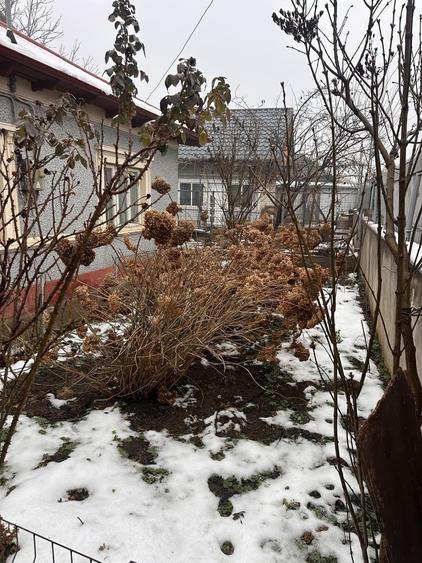 Casa de vanzare Medgidia Pret Negociabil! - 7