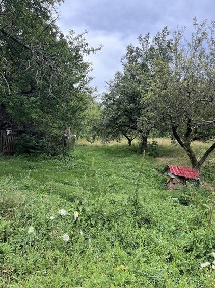 VAND CASA BATRANEASCA, 3,1 HA IN JURUL CASEI, COM.CETATENI - 6