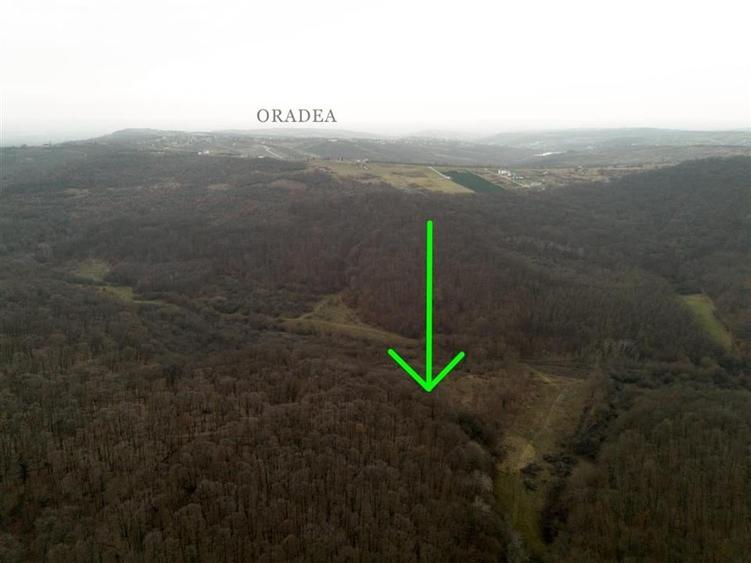 RECO . Teren extravilan . Saldabagiu de munte . - 4