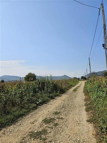 TEREN INTRAVILAN DE VANZARE IN OITUZ JUD. BACAU - 4