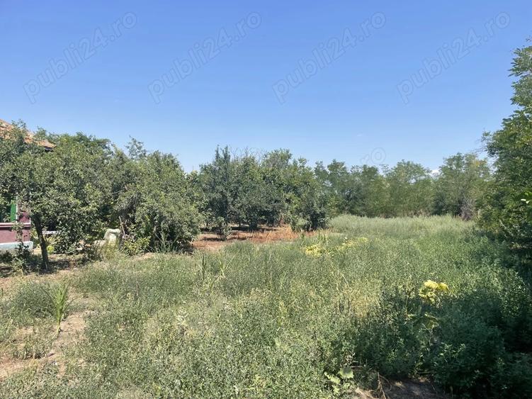 Vand casa comuna Sohatu - 5