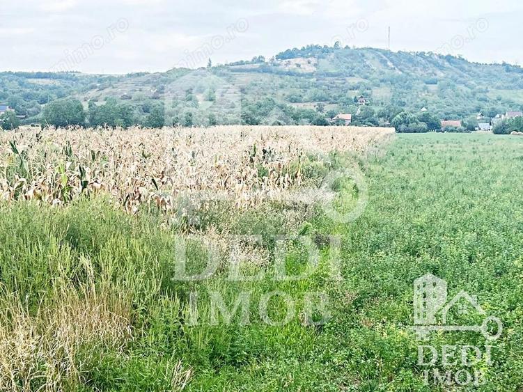 Teren extravilan Lugasu de jos, Bihor