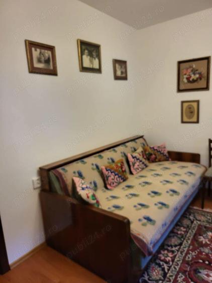 Casa si Teren Tara Lovistei Greblesti - 8