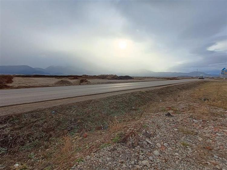 Teren 9000 mp Sacele Izvor, front 356 m la DJ 103A - 5