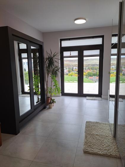 VILA NOUA,MODERNA CU 2100 METRI PATRATI TEREN-VIISOARA - 3