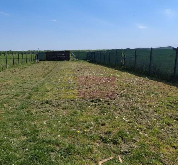 Teren cu constructie de vanzare in Urleta - 6