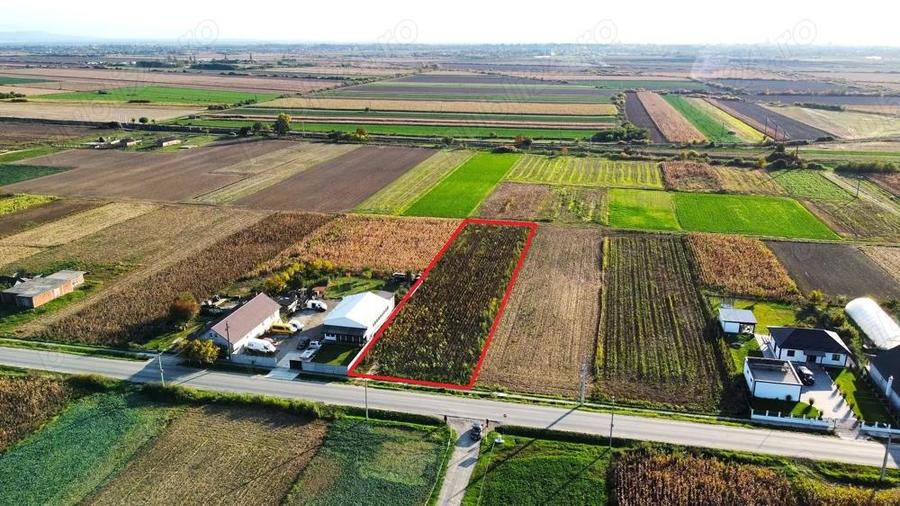 Teren intravilan de vanzare 3000 mp, Botiz, str. Sirul Mare, la doar 7 km de centrul Satu Mare - 4