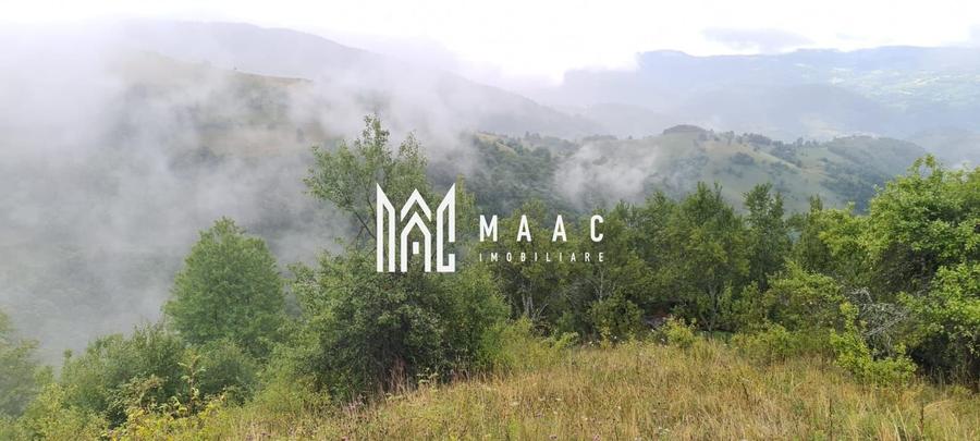 Super ofertă 35000 teren in Muntii Apuseni - 12