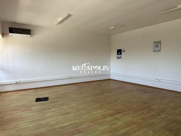 Hala Brintex str.Bazaltului / 5 euro mp - 13