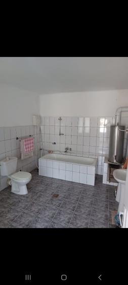 Casa vanzare Lapusnicu Mare - 6