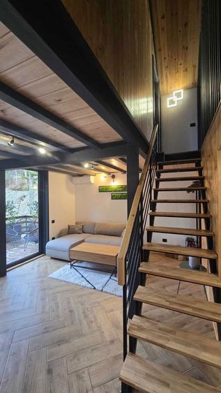 Casa de vacanta / investitie Sinaia | 2 dormitoare + curte + loc de parcare | 165.000 - 6