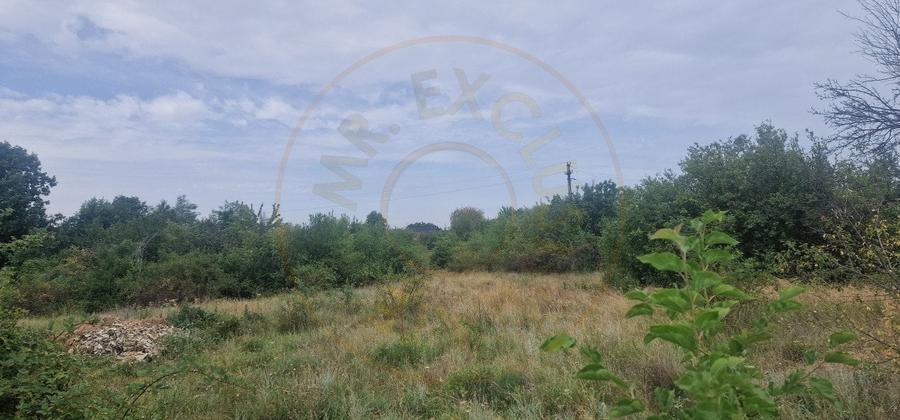 TEREN POIANA LACULUI - 2