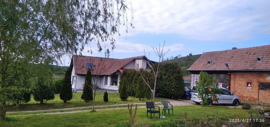 Vand casa cu 4,80 ha in Viisoara - 2