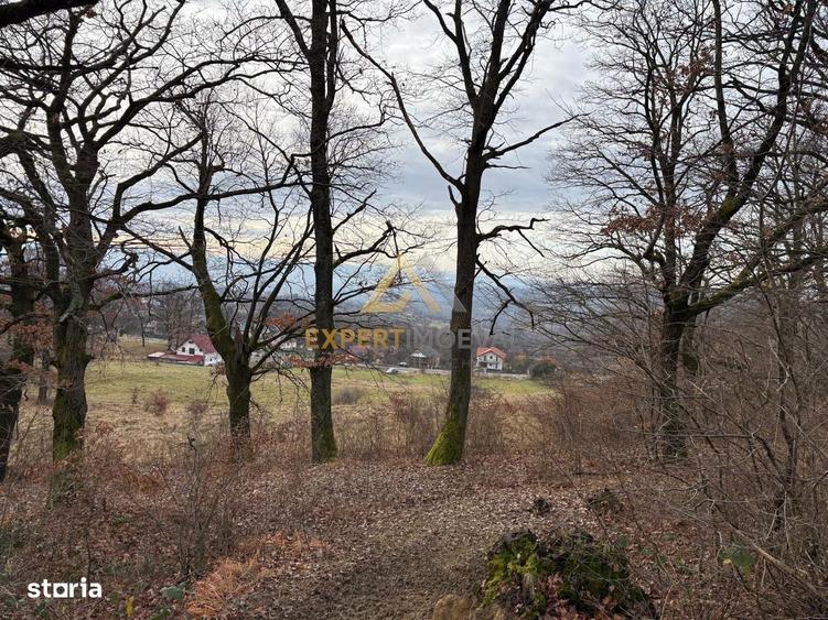 Teren intravilan de vanzare - 2