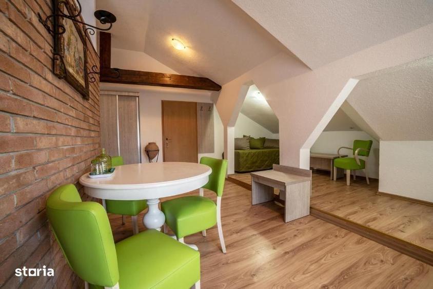 Domeniu turistic complet, pensiune 4 margarete, in functiune - 3