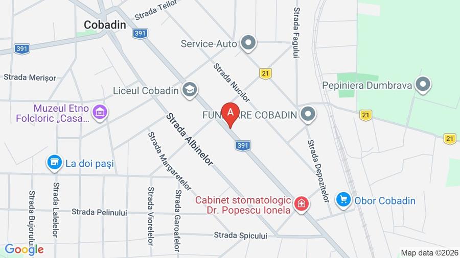 Casă individuală cu 5 camere cu Canalizare în Cobadin