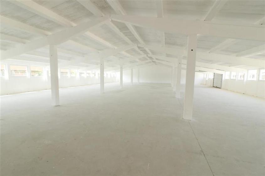 Spațiu industrial, de 410 mp, în Tomești