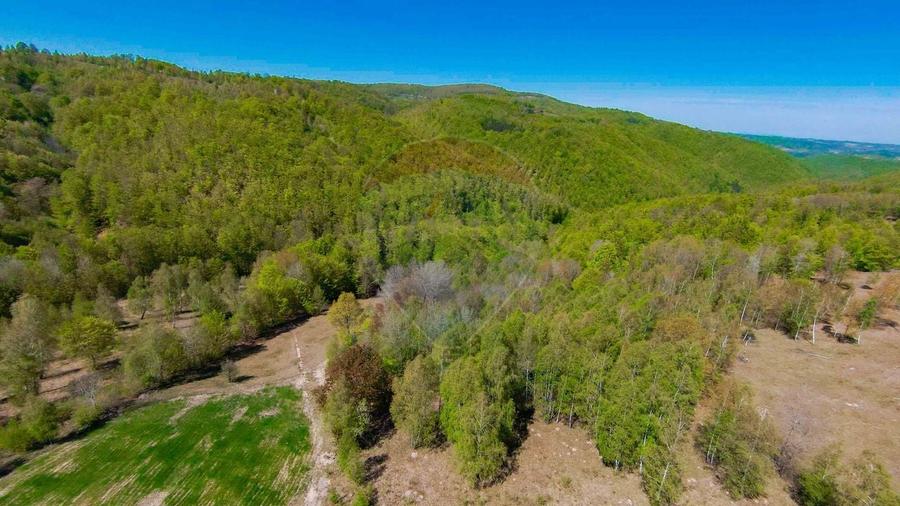 Casă individuală cu 7 camere cu Teren 30200 Mp în Prelucele
