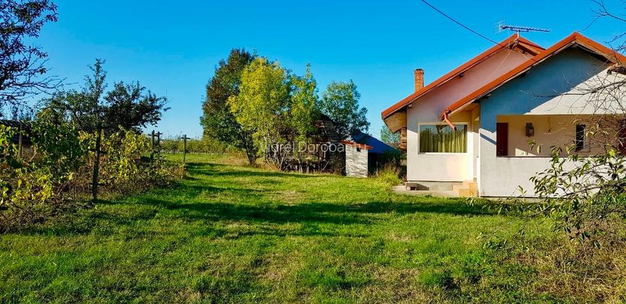 Casa si teren de vanzare (6000 mp)