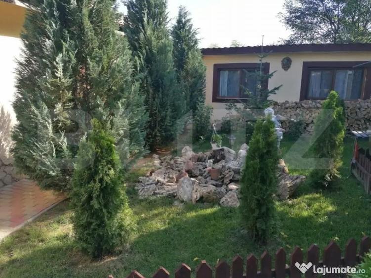 Casa 5 camere, 1100 mp teren, Birnova - 9