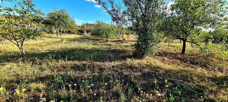 CASA CU TEREN 992 MP | SAT  SUPLACU DE TINCA | BIHOR - 16