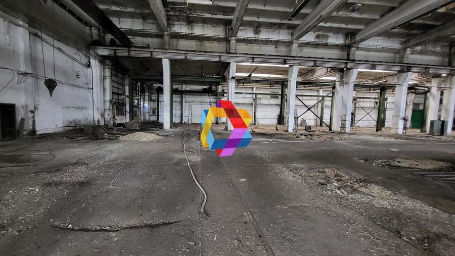 Hala - 1137 mp  # plus-imo.ro - 5