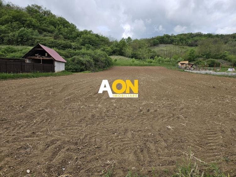 Teren intravilan langa Alba Iulia, 2742 mp, comuna Vintu de Jos - 1