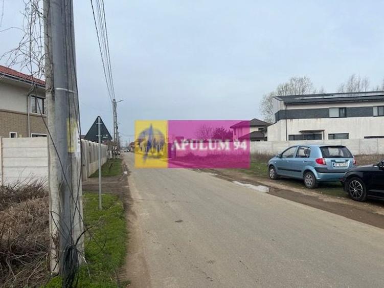 Teren Domnesti- Drumul Targului. - 3