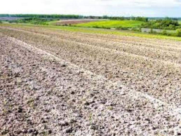4 ha teren agricol la Melinesti judetul Dolj