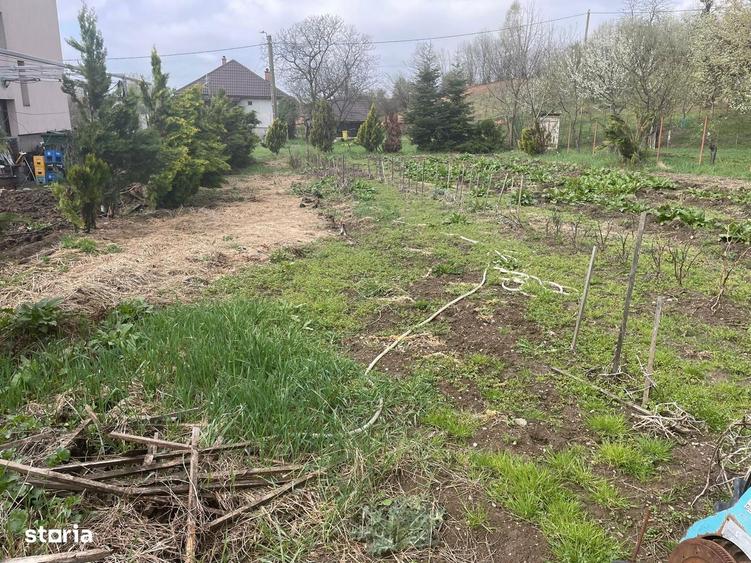 Baia Sprie, la intrare, 6 ari teren - 4