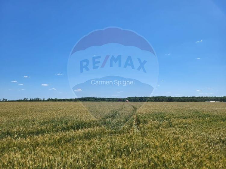 Teren intravilan 30,000mp Corbeanca P+1+E2