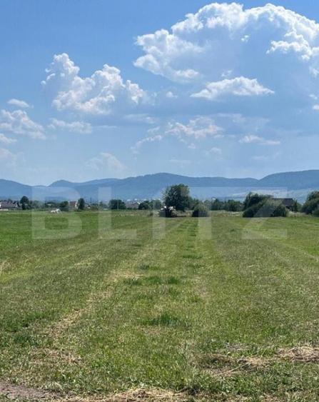 Oportunitate de investitie!! Teren extravilan,4000 mp, Vicov - 1