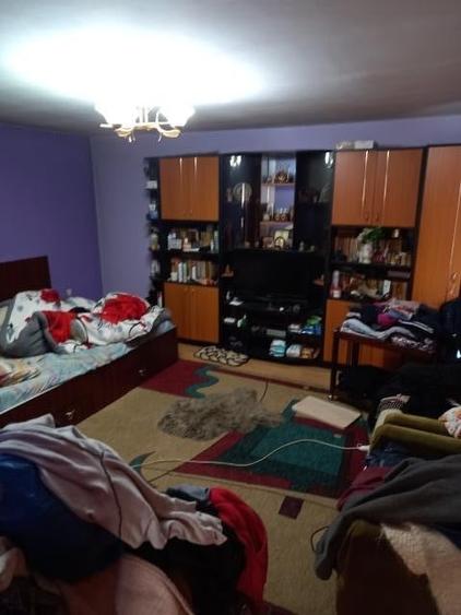 Vand vila situata in sat Plopsoru, comuna Daia - 3