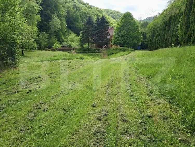 Casa de Vacan?a pe Valea Ighielului 3 camere, 2500 mp curte - 14